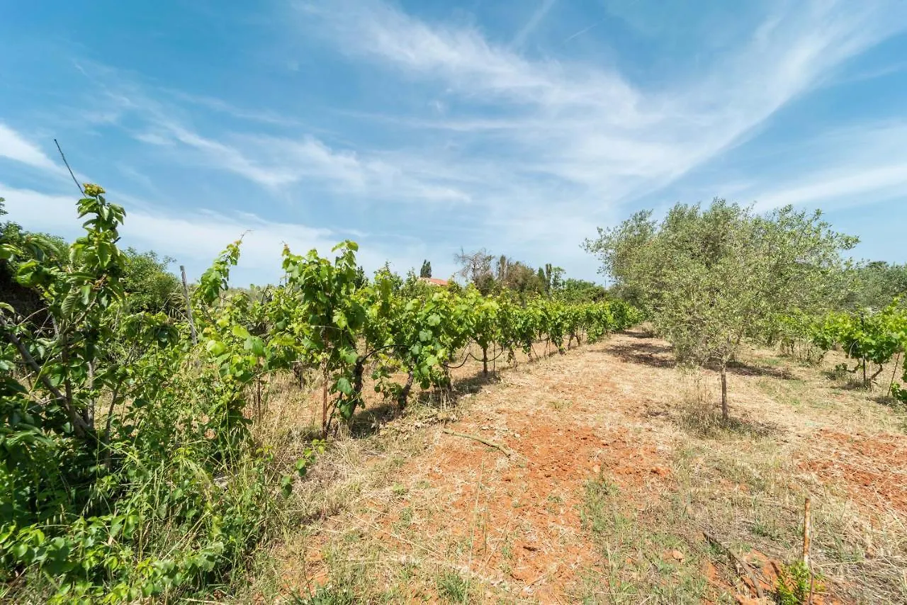 Villa Be Alguer